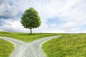 A fork in the road in the middle of a field with a tree and sky in the background.
