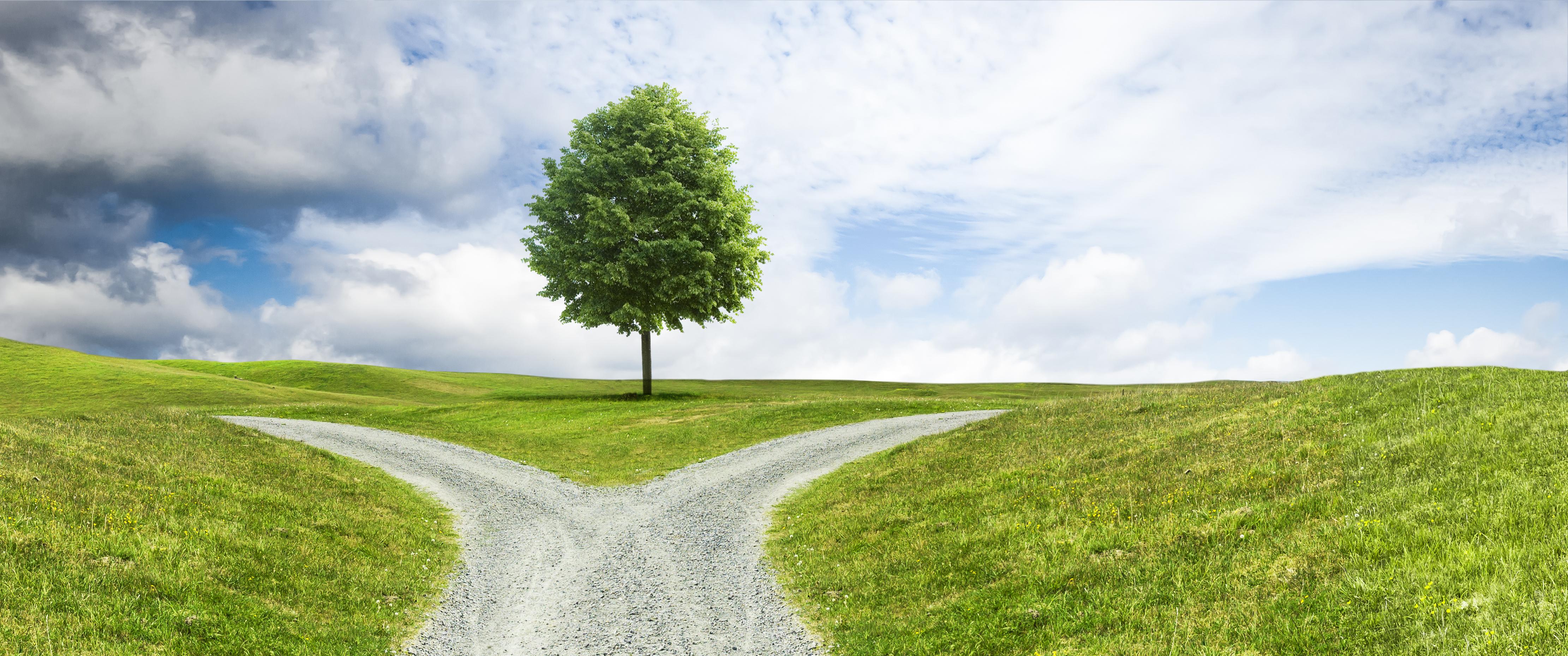 A fork in the road in the middle of a field with a tree and sky in the background.