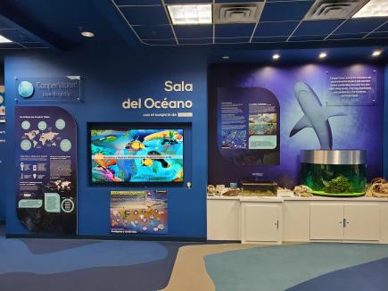 Scientific Room of Interactive Marine Life.