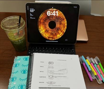 laptop with screensaver of an eye, with an optometry student's open notebook in front