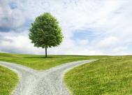 A fork in the road in the middle of a field with a tree and sky in the background.