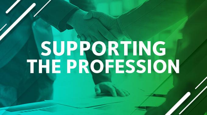 Supporting the Profession